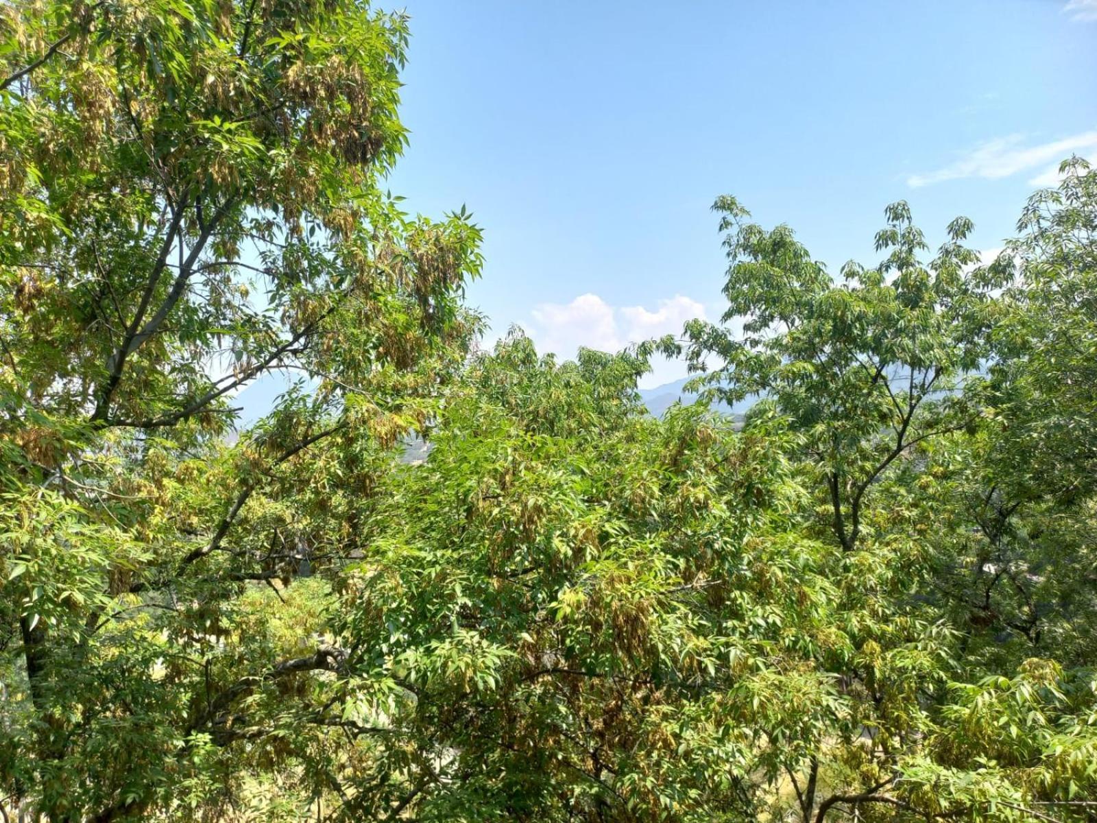 Zitácuaro Solache Inn חדר תמונה